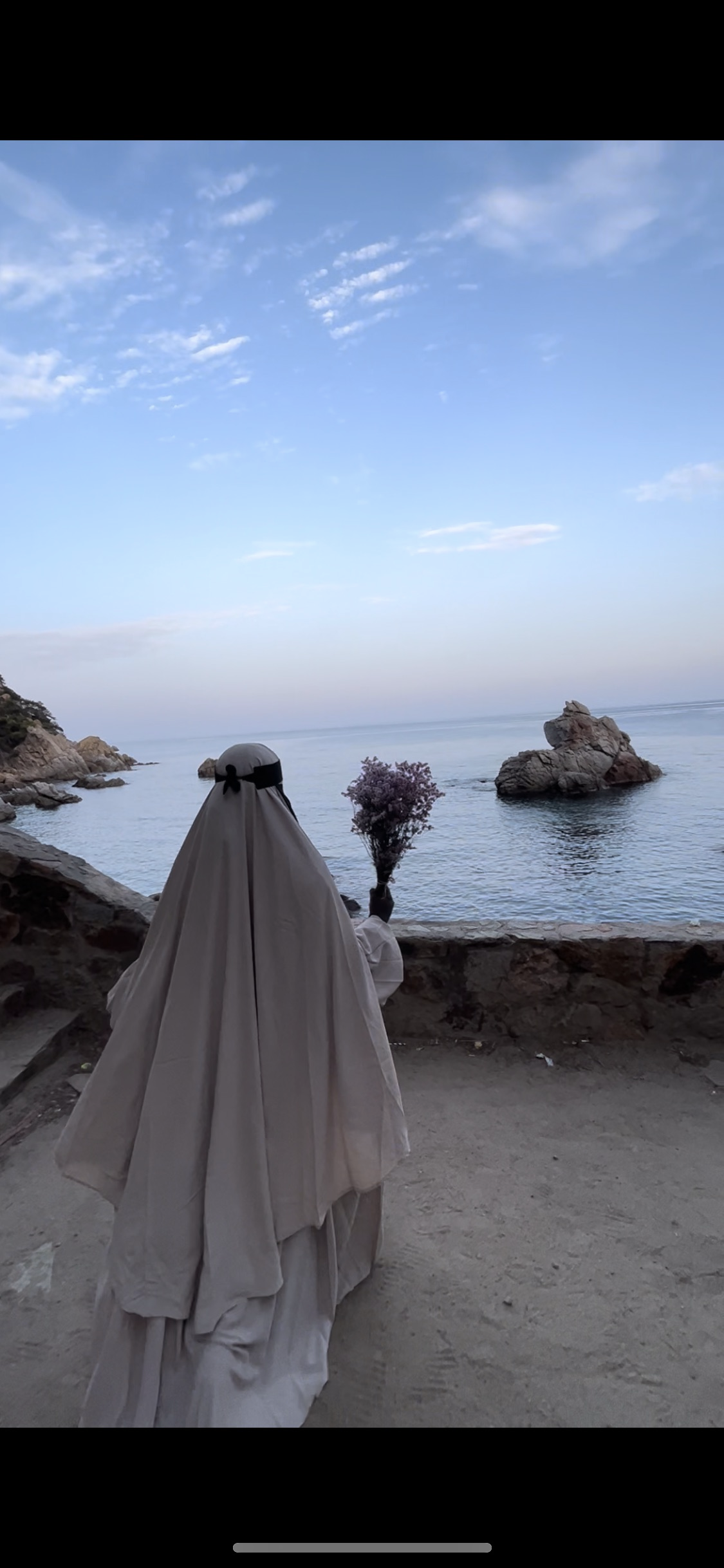 Abaya Farasha